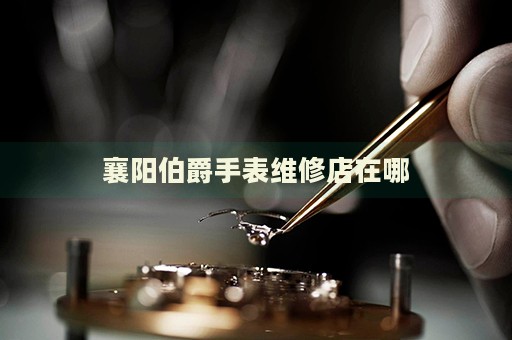襄陽(yáng)伯爵手表維修店在哪
