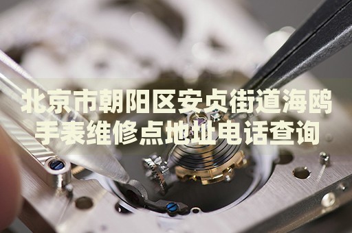 北京市朝陽(yáng)區(qū)安貞街道海鷗手表維修點(diǎn)地址電話查詢(xún)