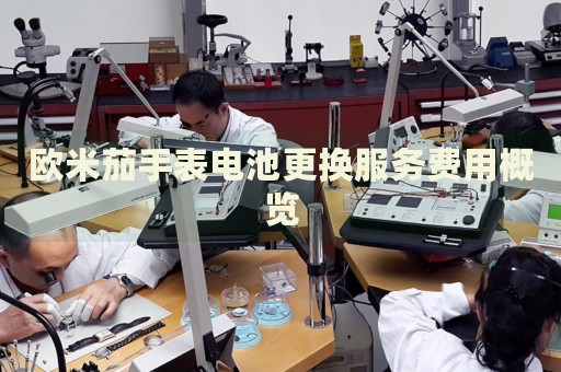 歐米茄手表電池更換服務(wù)費(fèi)用概覽