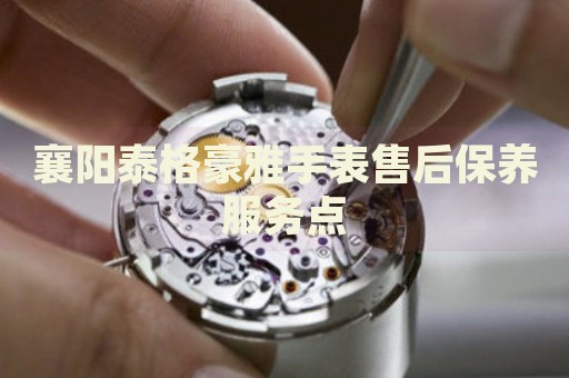 襄陽泰格豪雅手表售后保養(yǎng)服務(wù)點
