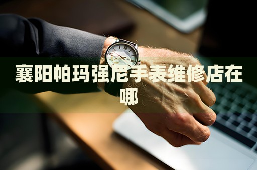 襄陽帕瑪強(qiáng)尼手表維修店在哪