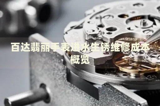百達翡麗手表進水生銹維修成本概覽