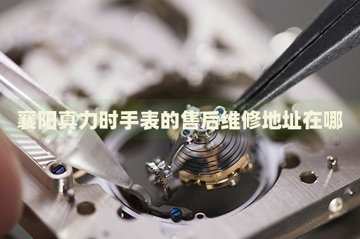 襄陽真力時手表的售后維修地址在哪