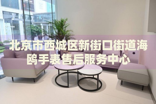 北京市西城區(qū)新街口街道海鷗手表售后服務(wù)中心