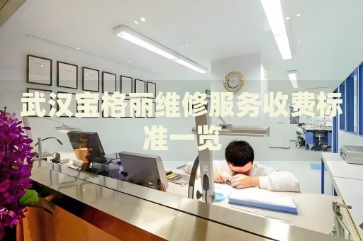 武漢寶格麗維修服務收費標準一覽