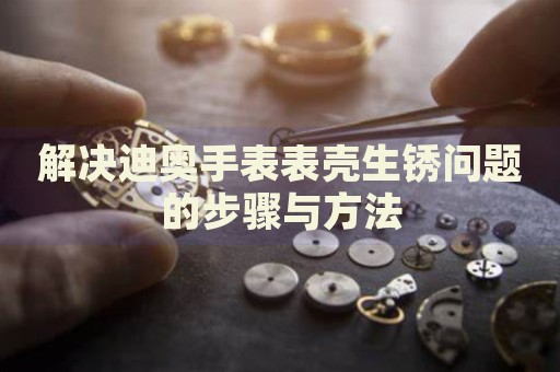 解決迪奧手表表殼生銹問題的步驟與方法
