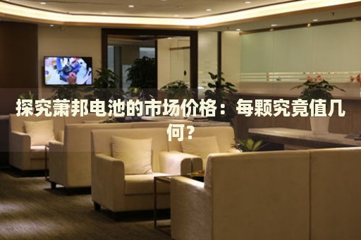 探究蕭邦電池的市場價(jià)格：每顆究竟值幾何？