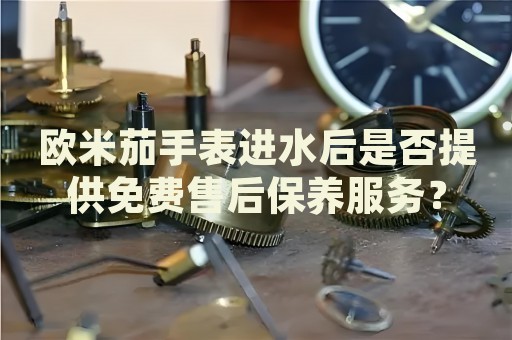 歐米茄手表進(jìn)水后是否提供免費(fèi)售后保養(yǎng)服務(wù)？