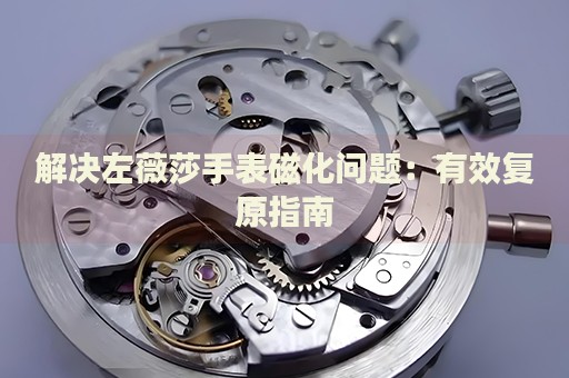 解決左薇莎手表磁化問題：有效復(fù)原指南