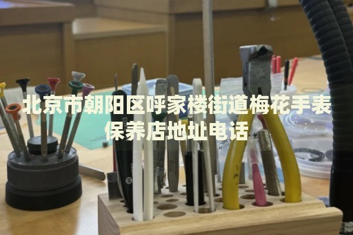 北京市朝陽(yáng)區(qū)呼家樓街道梅花手表保養(yǎng)店地址電話