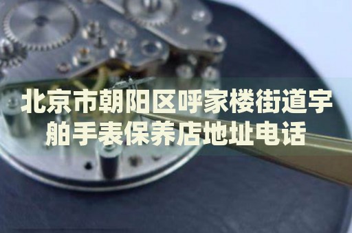 北京市朝陽(yáng)區(qū)呼家樓街道宇舶手表保養(yǎng)店地址電話