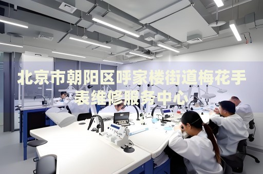 北京市朝陽(yáng)區(qū)呼家樓街道梅花手表維修服務(wù)中心