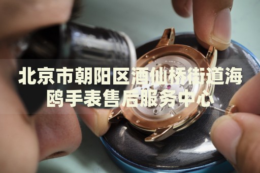 北京市朝陽區(qū)酒仙橋街道海鷗手表售后服務中心