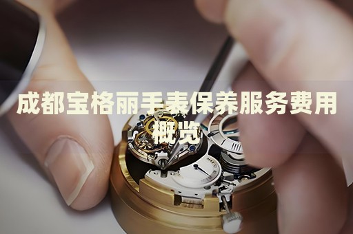 成都寶格麗手表保養(yǎng)服務(wù)費(fèi)用概覽