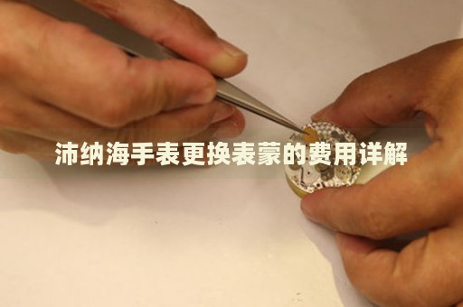 沛納海手表更換表蒙的費(fèi)用詳解