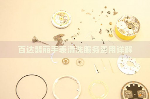百達翡麗手表清洗服務費用詳解