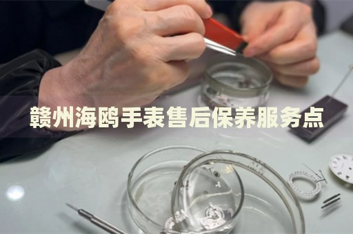 贛州海鷗手表售后保養(yǎng)服務(wù)點(diǎn)