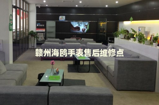贛州海鷗手表售后維修點