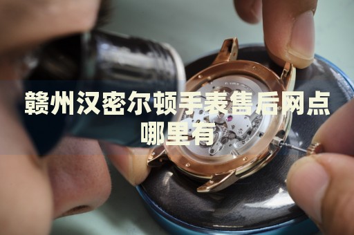 贛州漢密爾頓手表售后網(wǎng)點哪里有