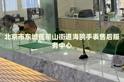 北京市東城區(qū)景山街道海鷗手表售后服務(wù)中心