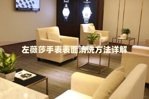 左薇莎手表表面清洗方法詳解