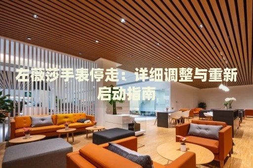左薇莎手表停走：詳細(xì)調(diào)整與重新啟動指南