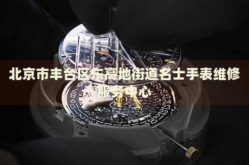 北京市豐臺區(qū)東高地街道名士手表維修服務中心