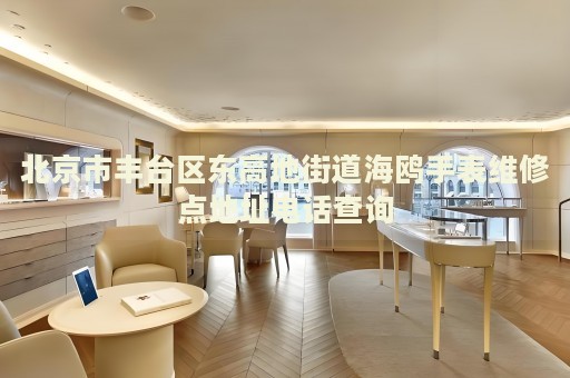 北京市豐臺區(qū)東高地街道海鷗手表維修點地址電話查詢
