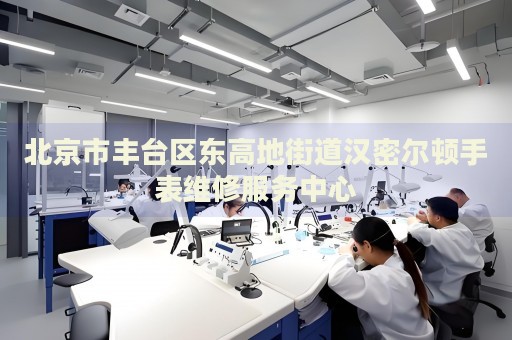 北京市豐臺區(qū)東高地街道漢密爾頓手表維修服務(wù)中心
