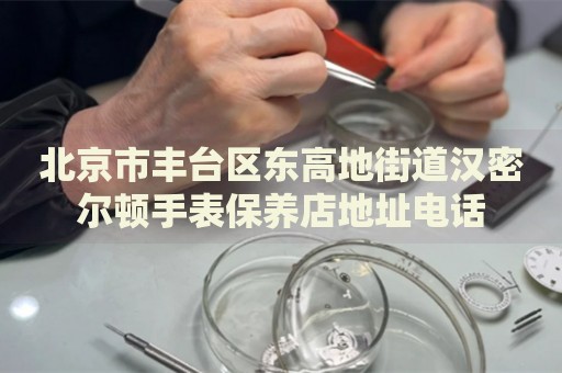 北京市豐臺區(qū)東高地街道漢密爾頓手表保養(yǎng)店地址電話