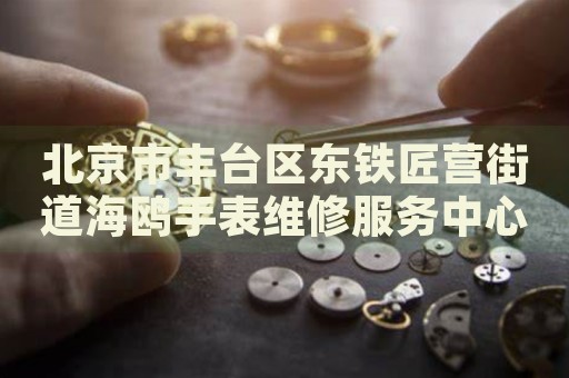 北京市豐臺(tái)區(qū)東鐵匠營(yíng)街道海鷗手表維修服務(wù)中心