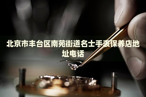 北京市豐臺區(qū)南苑街道名士手表保養(yǎng)店地址電話