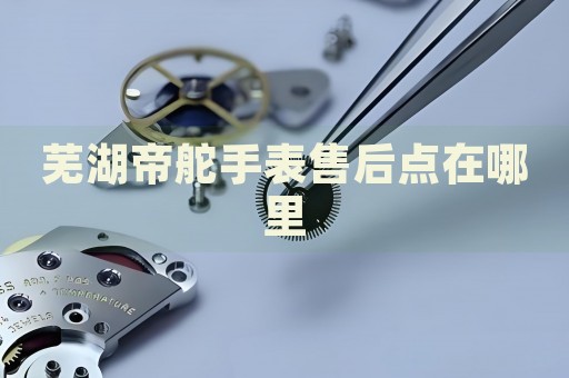 蕪湖帝舵手表售后點在哪里