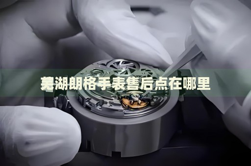 蕪湖朗格手表售后點(diǎn)在哪里