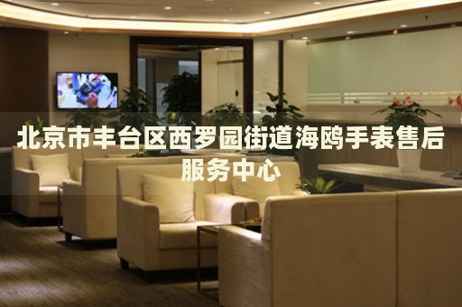 北京市豐臺(tái)區(qū)西羅園街道海鷗手表售后服務(wù)中心
