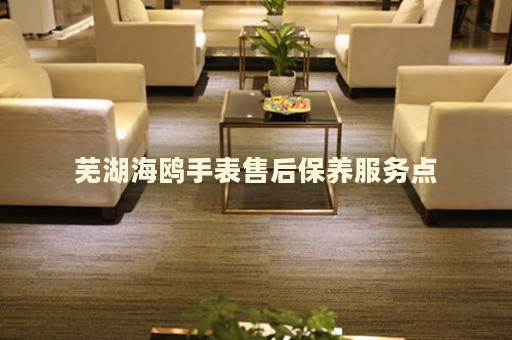 蕪湖海鷗手表售后保養(yǎng)服務(wù)點(diǎn)