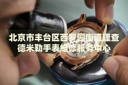 北京市豐臺區(qū)西羅園街道理查德米勒手表維修服務(wù)中心