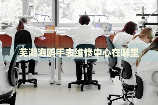 蕪湖海鷗手表維修中心在哪里