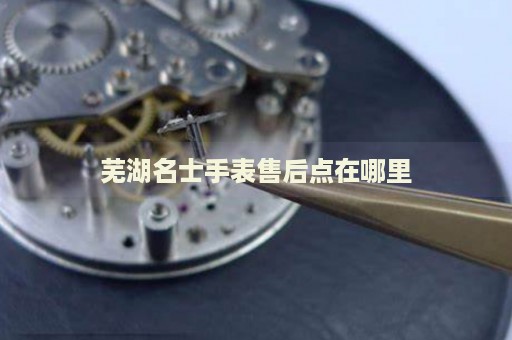 蕪湖名士手表售后點在哪里
