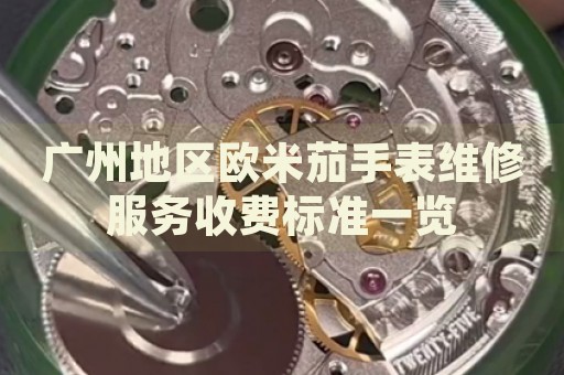 廣州地區(qū)歐米茄手表維修服務(wù)收費(fèi)標(biāo)準(zhǔn)一覽