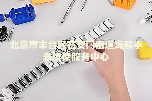 北京市豐臺區(qū)右安門街道海鷗手表維修服務中心