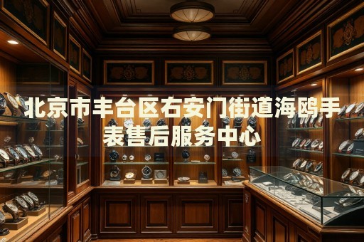北京市豐臺區(qū)右安門街道海鷗手表售后服務(wù)中心