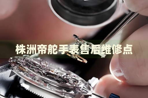 株洲帝舵手表售后維修點