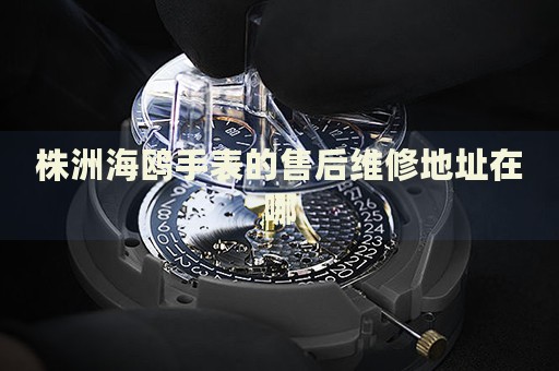 株洲海鷗手表的售后維修地址在哪