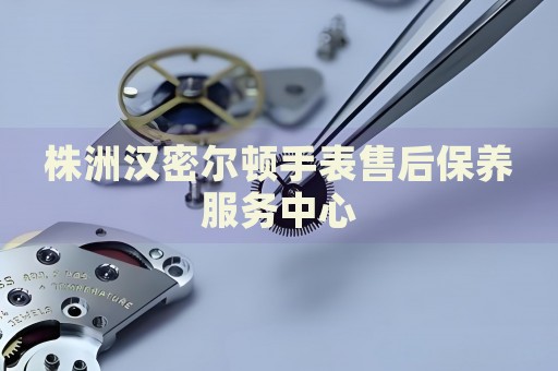 株洲漢密爾頓手表售后保養(yǎng)服務(wù)中心