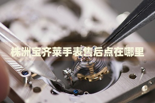 株洲寶齊萊手表售后點在哪里