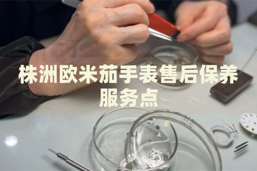 株洲歐米茄手表售后保養(yǎng)服務(wù)點(diǎn)