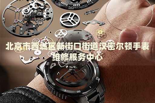 北京市西城區(qū)新街口街道漢密爾頓手表維修服務(wù)中心