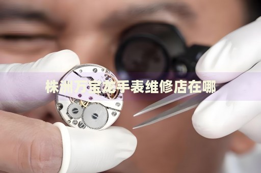 株洲萬(wàn)寶龍手表維修店在哪