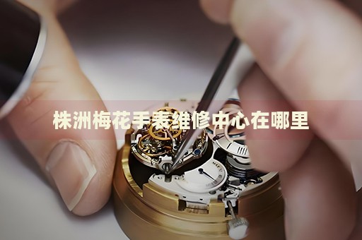 株洲梅花手表維修中心在哪里